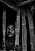 IIP Online Student Photography